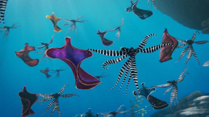Brightly coloured sea creatures dance together