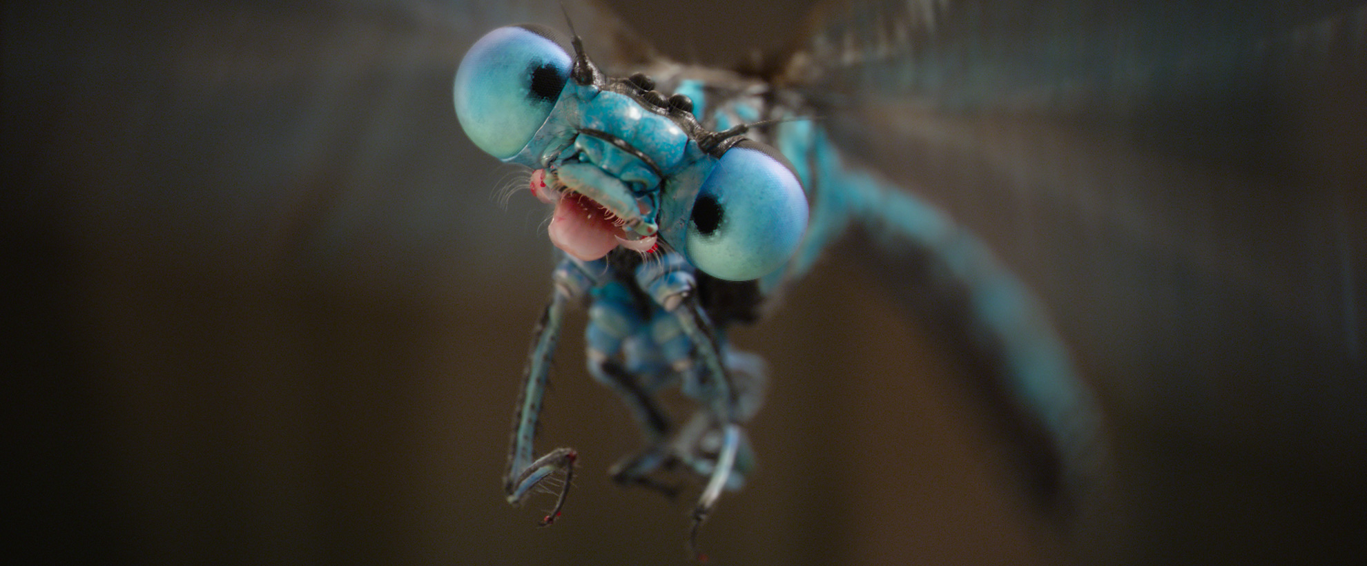 A close up shot of an animated dragonfly in Dolittle