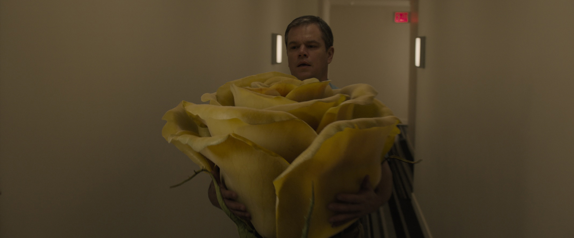 Matt Damon holds an enormous yellow rose bloom