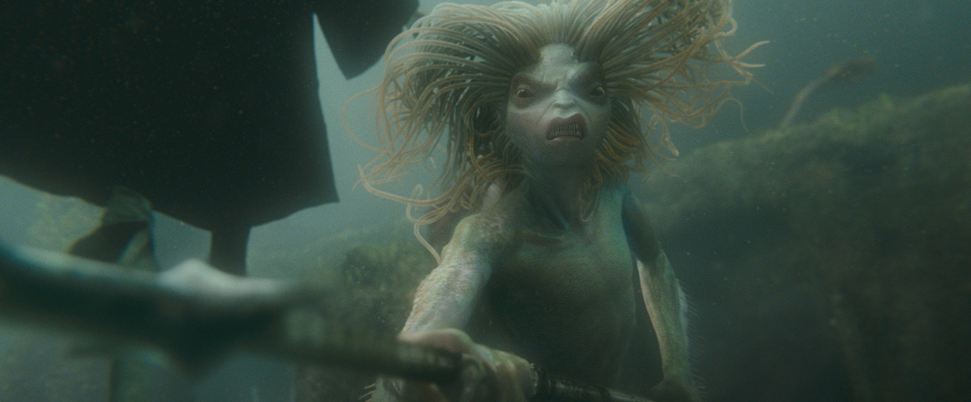Harry Potter and the Goblet of Fire - a mermaid under the lake hisses into the camera