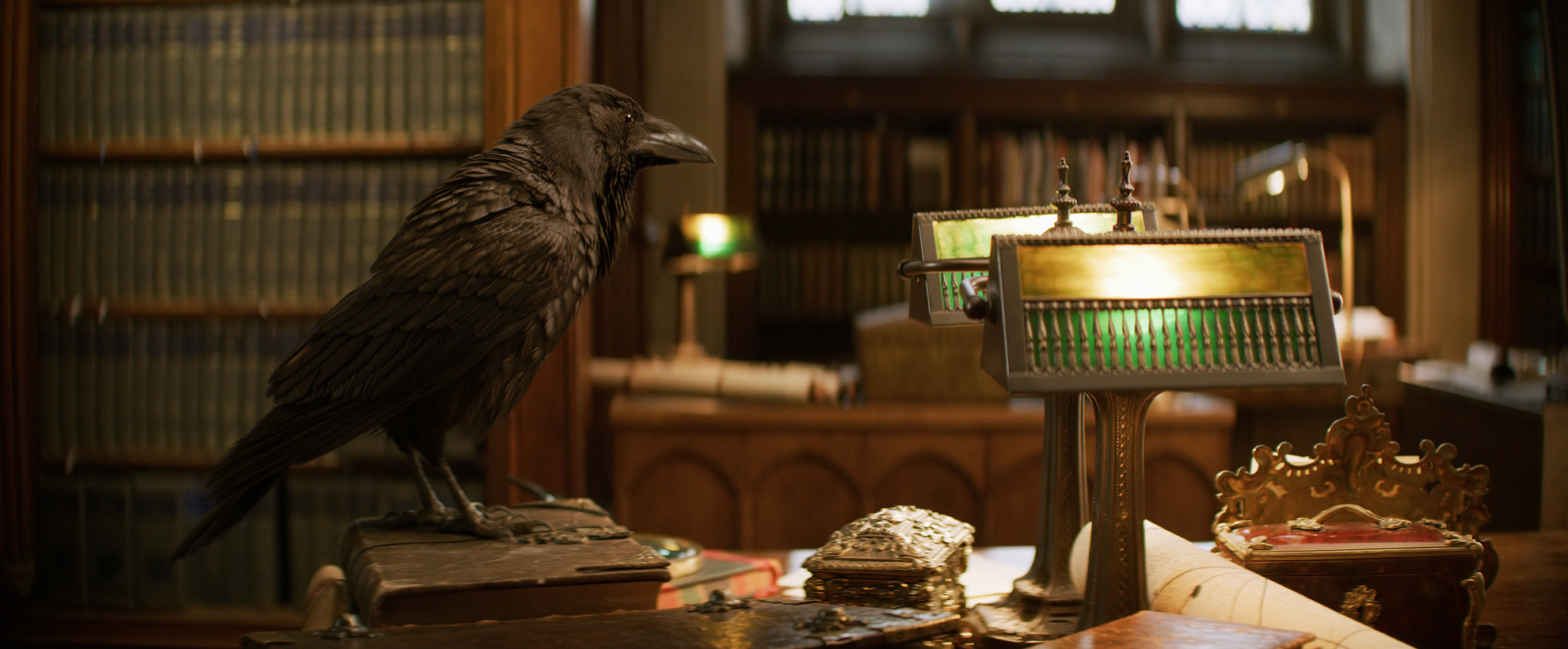 A raven sitting on a desk in an ornate library