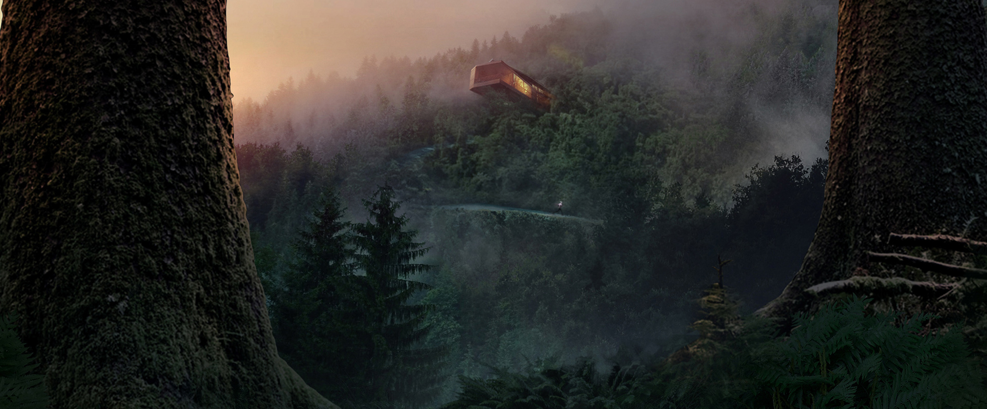 A modern rectangular house peaking out of a forested hillside in a sunset.