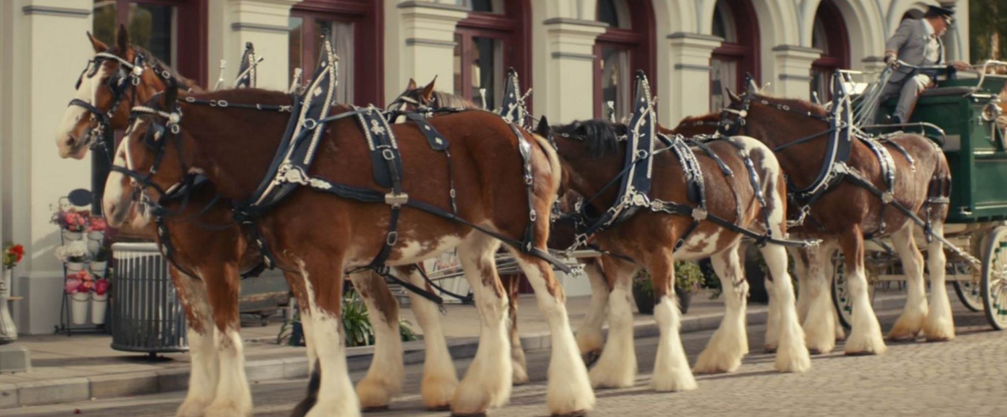 side view of six horses attached to a green carriage. there is someone sitting on the carriage holding the reigns and looking behind