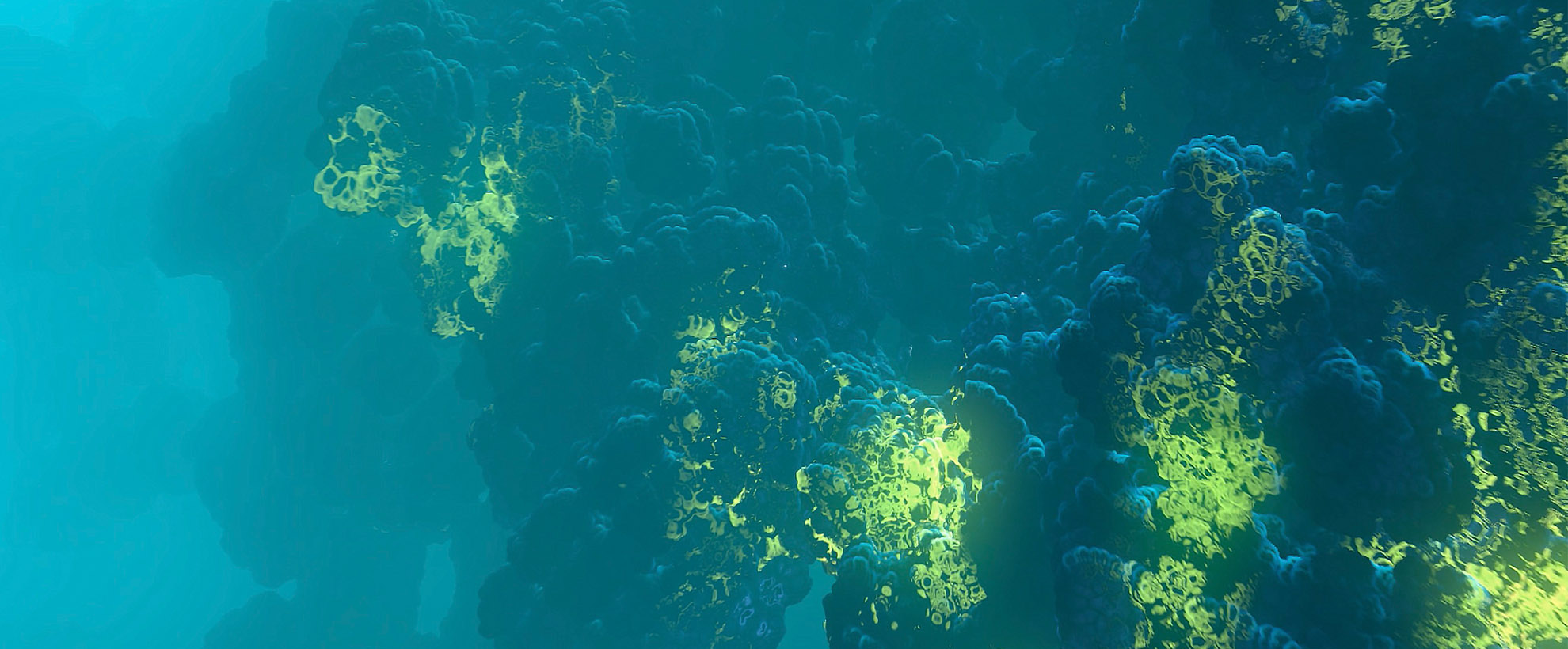 animated highlighted coral