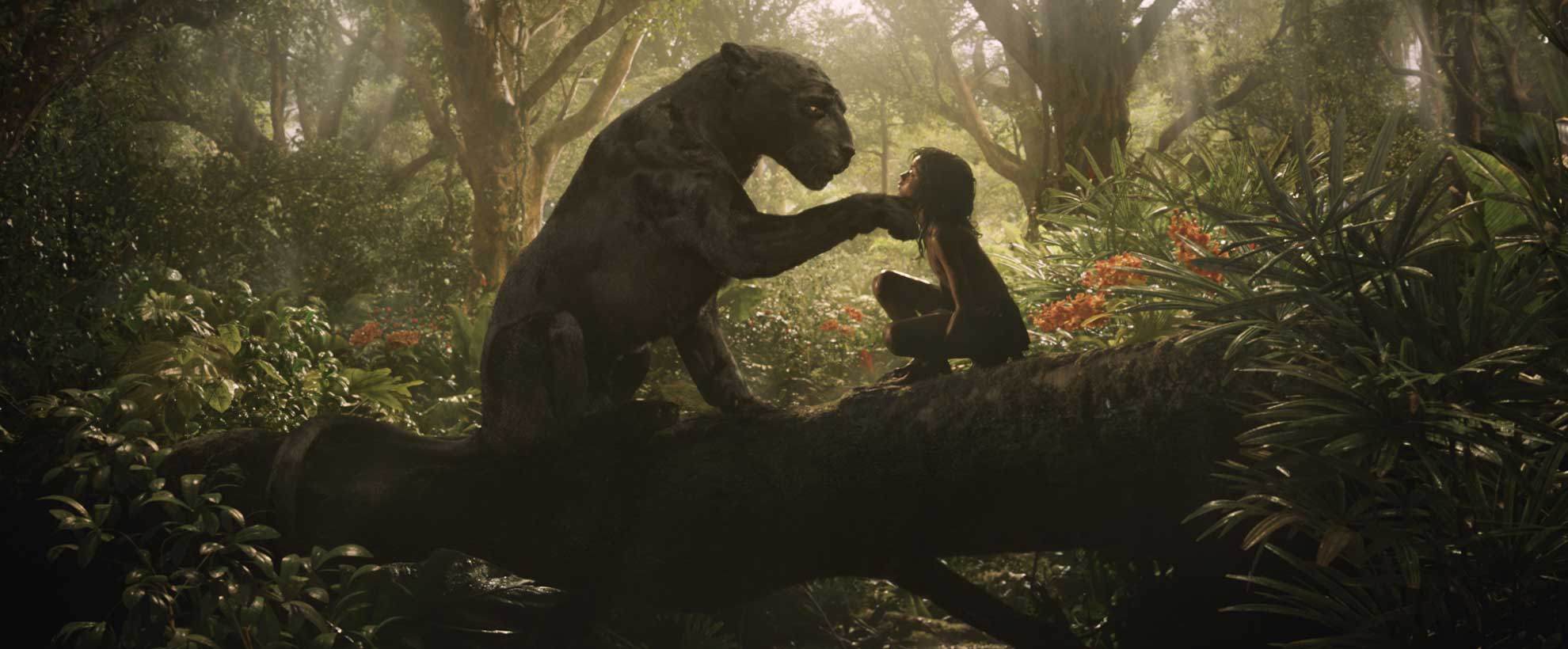 Mowgli and an animated Bagheera the Jaguar sit on a log in the jungle, a digitally created environment