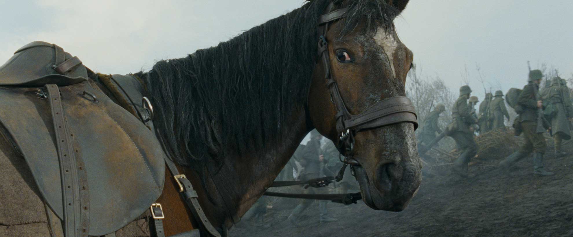 A brown CGI animated military horse on a battlefield