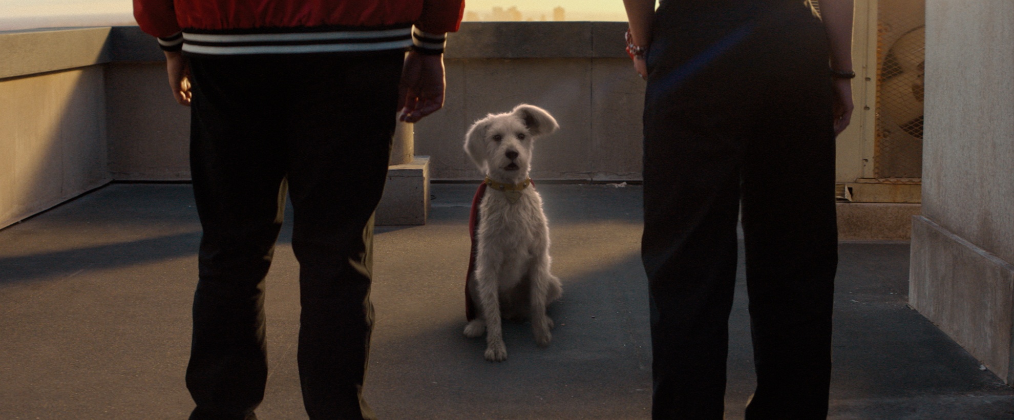 CG animated Krypto from Supergirl in a red cape sits between two people on a rooftop at sunset, facing the camera.