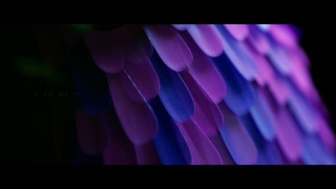 detail shot of material