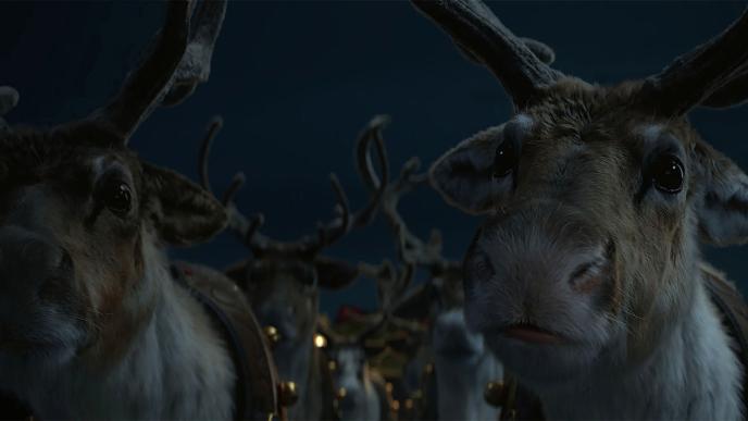 close up shot of two innocent reindeers. there are four other reindeers blurred into the background