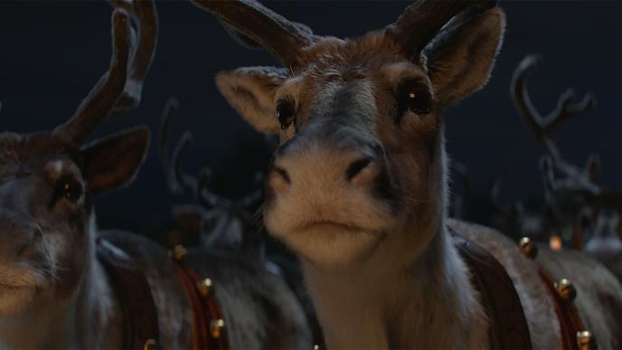 close up shot of an innocent reindeer