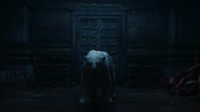 A final shot from the bear fight