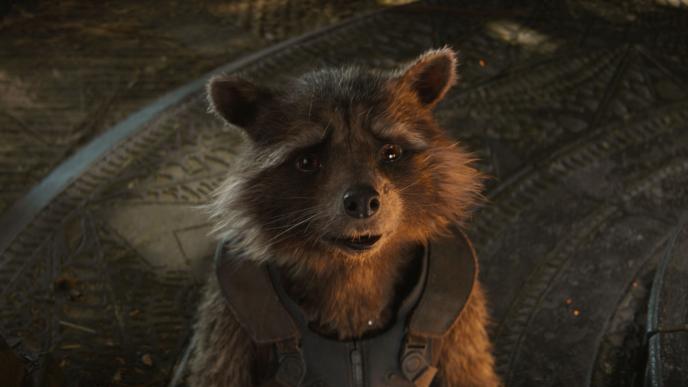 cg animated rocket the raccoon looking up with a sad expression on his face