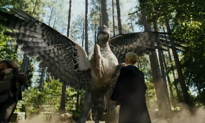 hippogriff buckbeack standing on its hind legs about to attack draco malfoy as hagrid defends himself