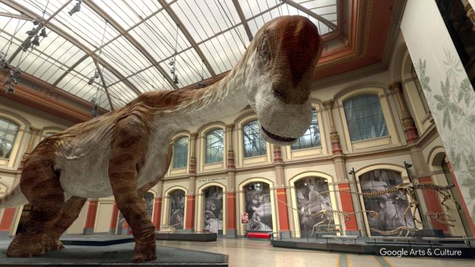 side view of a girrafatitan dinosaur looking towards the camera