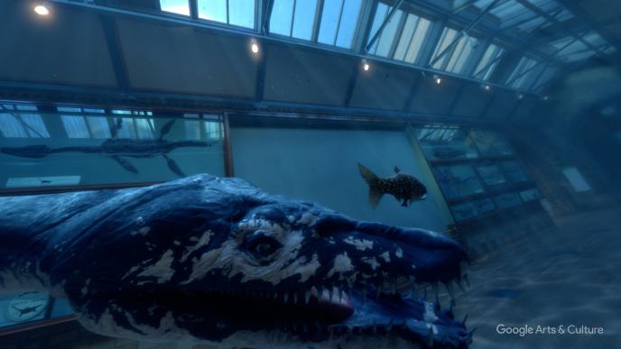 close up of a rhomaleosaurus head