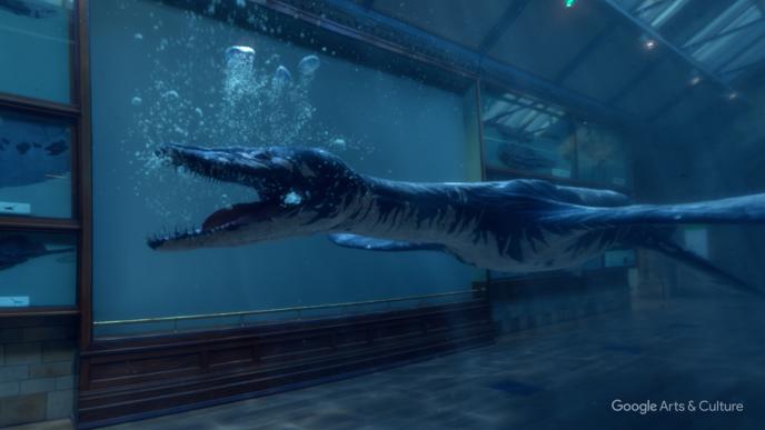 side view of a rhomaleosaurus dinosaur floating in a submerged natural history museum