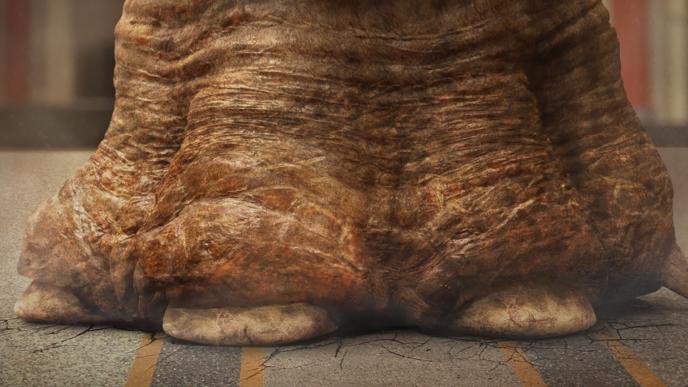 close up of the foot of a giraffatitan dinosaur