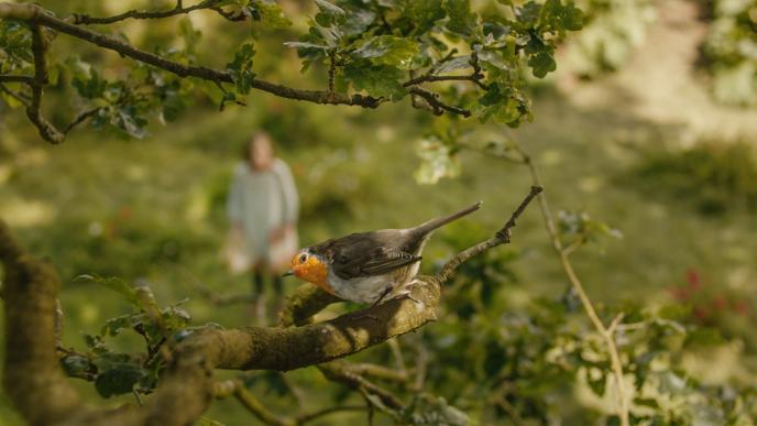 cg animated photorealistic robin bird perched on a branch looking into the camera as mary lennox is standing in a blurred background