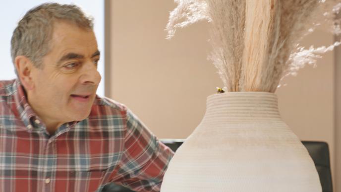 actor rowan atkinson crouched down next to a floor vase looking at a bee 
