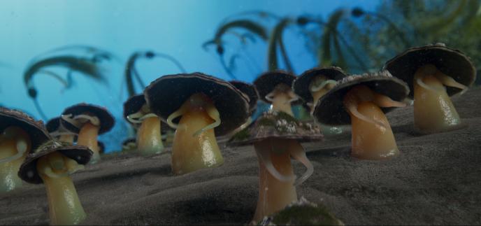 Dancing limpets from the Under the Sea dance number from The Little Mermaid