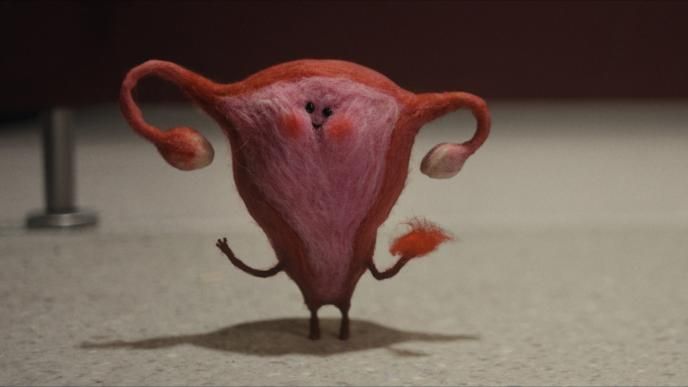 Felt textured vagina cartoon