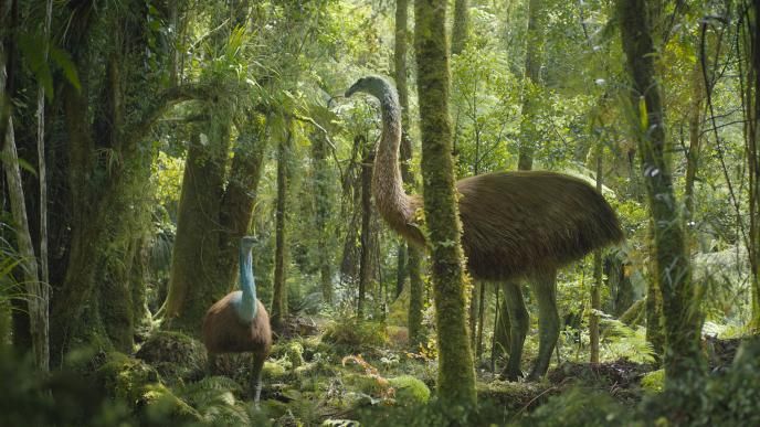 Final of a Giant Moa 