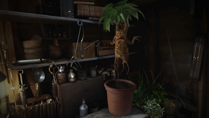 mandrake plant from harry potter hovering over a plant pot in a workroom