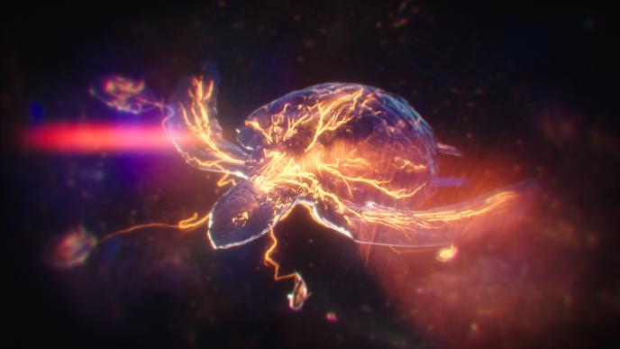 a turtle that is illuminated with gold lines in its body