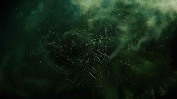 spider-man dwarved by a gigantic spider web