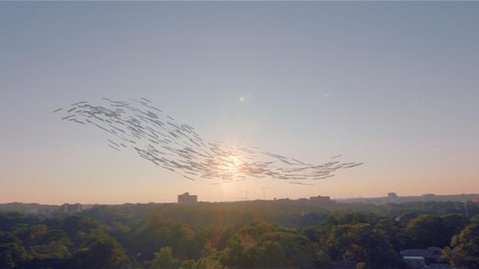 cg animated board slates in bird formation flying mid air in front of a sunset