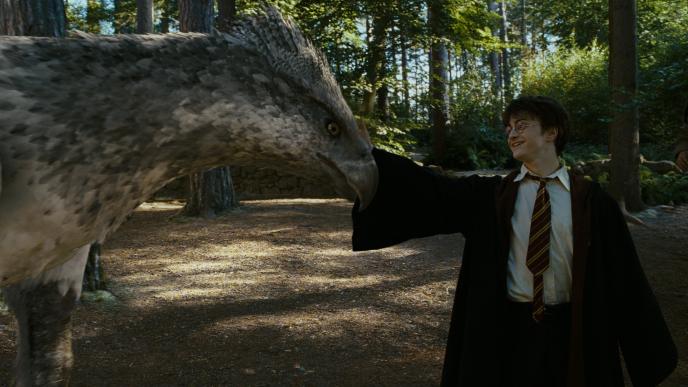 buckbeak the hippogriff allowing harry potter to pat its beak in a forest