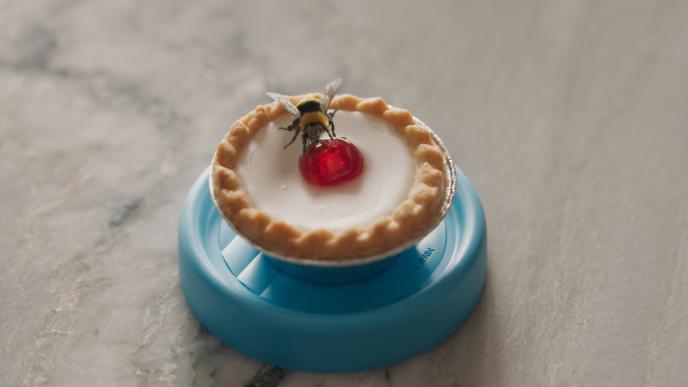 a bee standing on a cherry bakewell tart