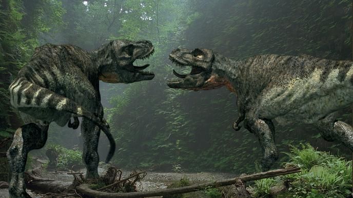 back view of two cg animated t-rex dinosaurs facing each other while roaring in a forest