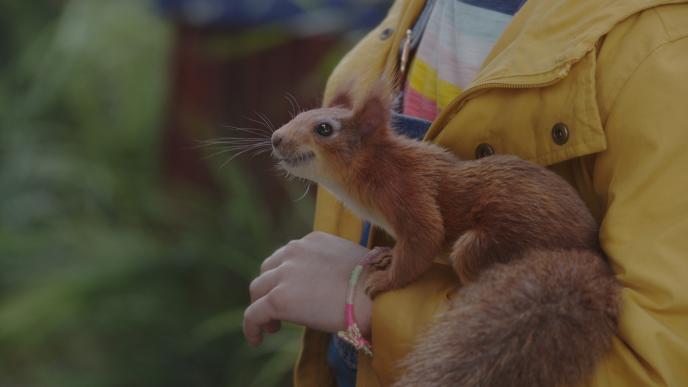 A squirrel rests on a young girl's arm, she wears a yellow coat