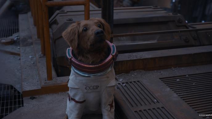 Cosmo the dog in Guardians of the Galaxy 3