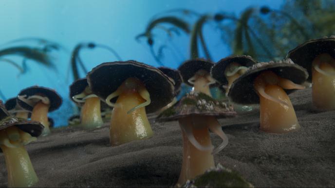 Dancing limpets from the Under the Sea dance number from The Little Mermaid