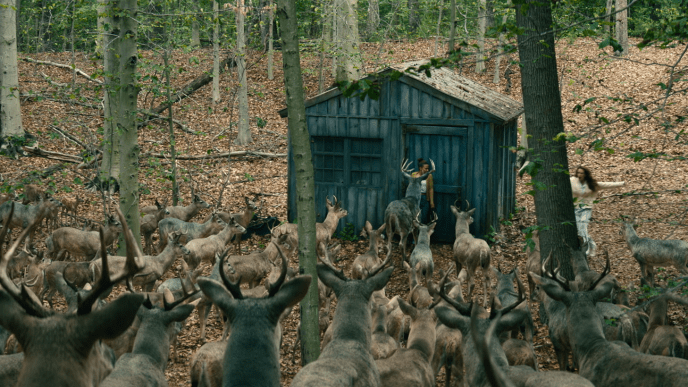 Amanda and Ruth encountering the group of sinister looking deers  