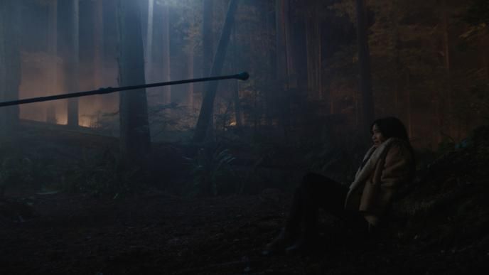 Monarch: Legacy of Montsers - Brambleboar - Before