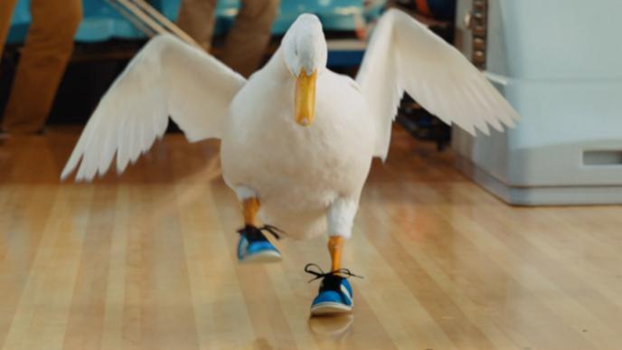 A duck at a bowling alley wearing bowling shoes