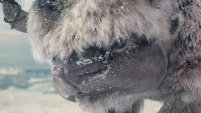 Appa from Avatar: The Last Airbender