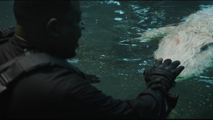 Duke Under Water Close Up