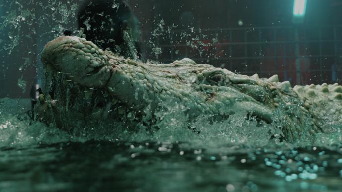 Duke Under Water Main