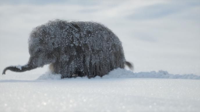 Final of a baby mammoth 