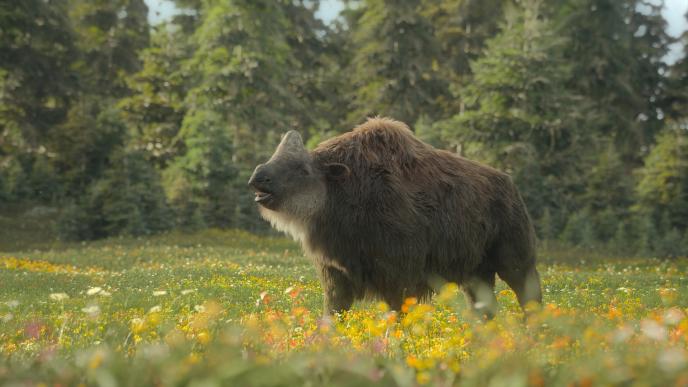 Final of a Elasmotherium 