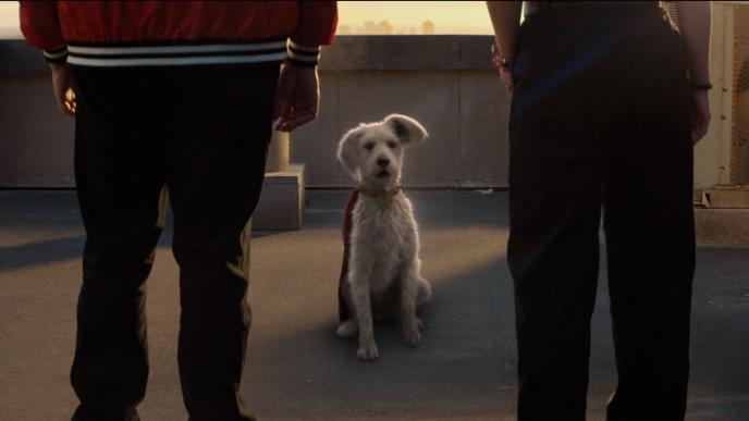 CG animated Krypto from Supergir in a red cape sits between two people on a rooftop at sunset, facing the camera