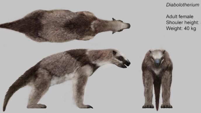 Prehistoric Planet: Ice Age Sloth Adult Concept Art