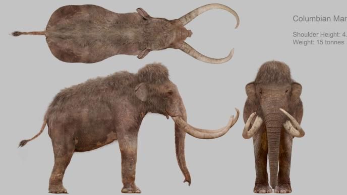 Prehistoric Planet: Ice Age Columbian Mammoth Concept art