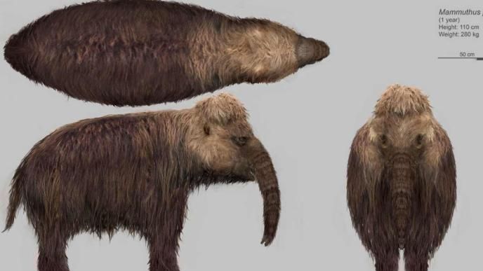 Prehistoric Planet: Ice Age Mammoth Concept Art