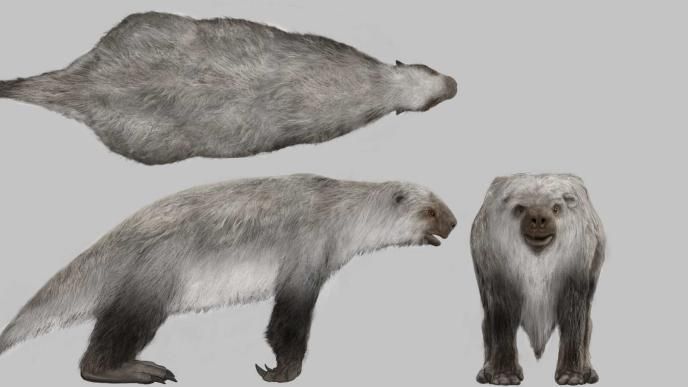 Prehistoric Planet: Ice Age Great Sloth Adult