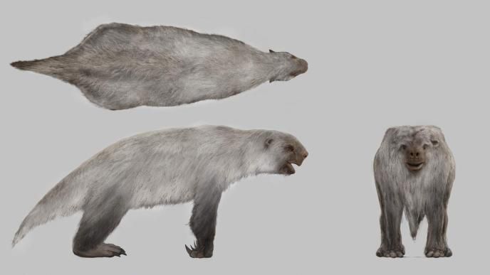 Prehistoric Planet: ice Age Great Sloth Infant Concept Art